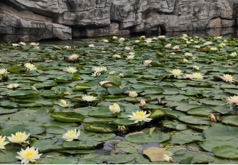 1619484063123486.png blob.png