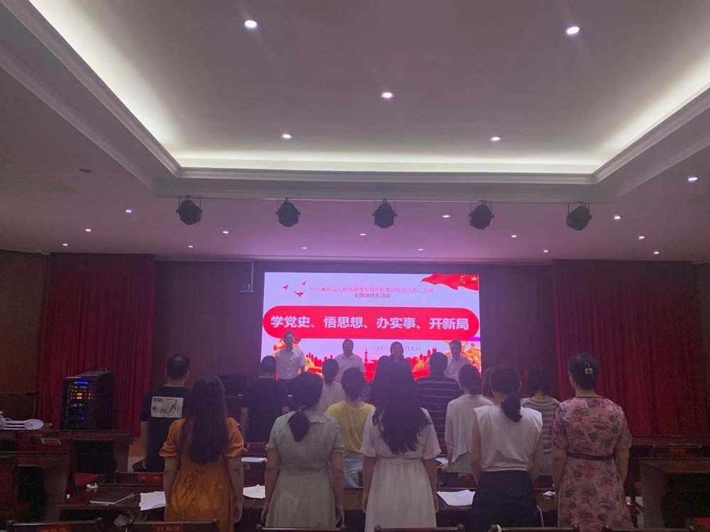 衡阳幼高专各党支部相继召开党史学习教育专题组织生活会 衡阳幼高专各党支部相继召开党史学习教育专题组织生活会