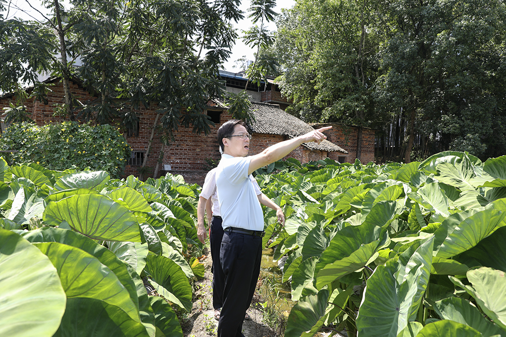 党委书记李来清到常宁市同心村开展专题调研 党委书记李来清到常宁市同心村开展专题调研